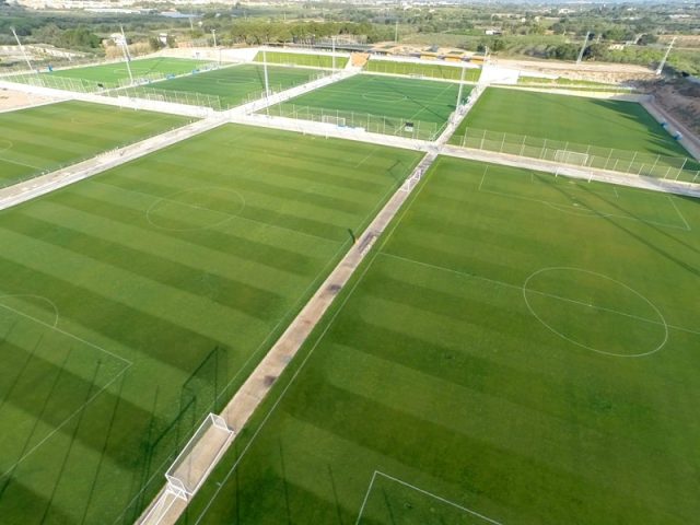 MSV_pitches